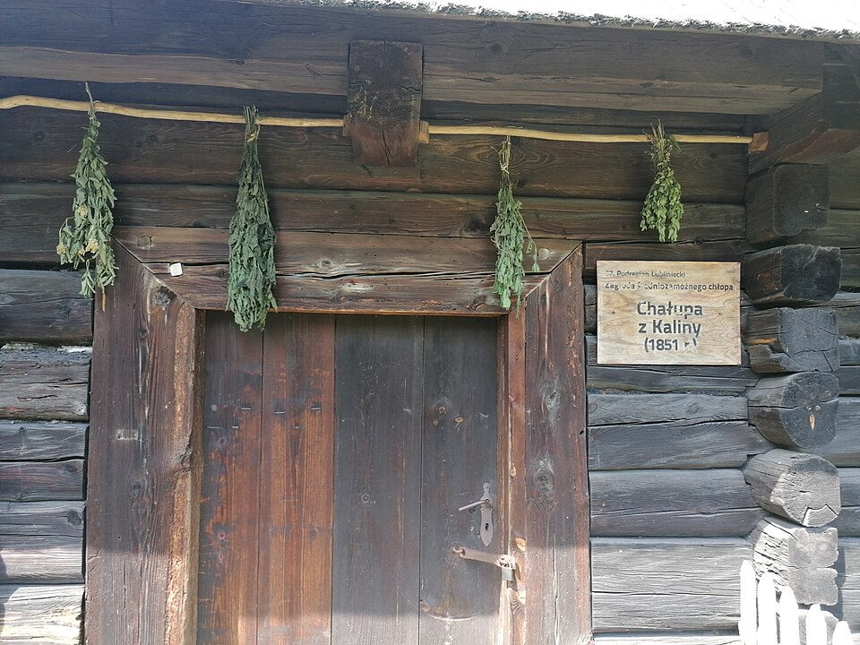 Broad timber double doors in a historic log cottage.