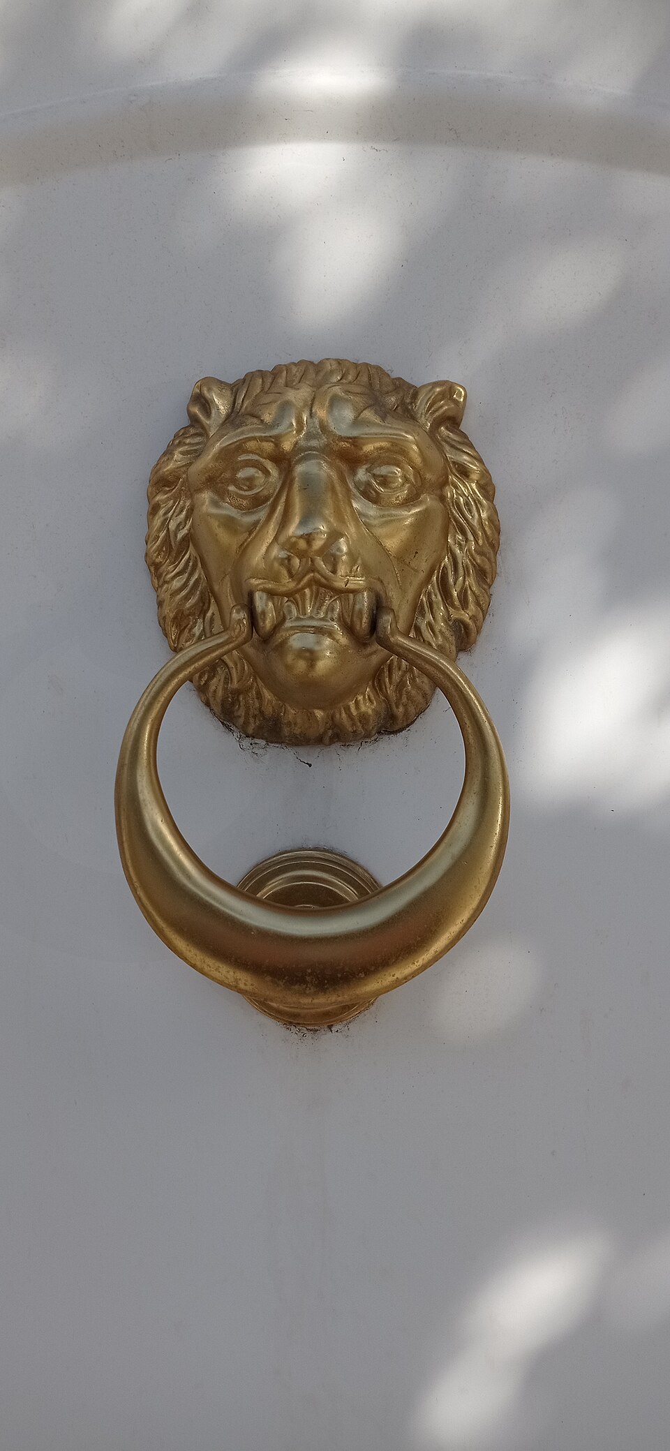 Lion-head ring knocker on a pale door.