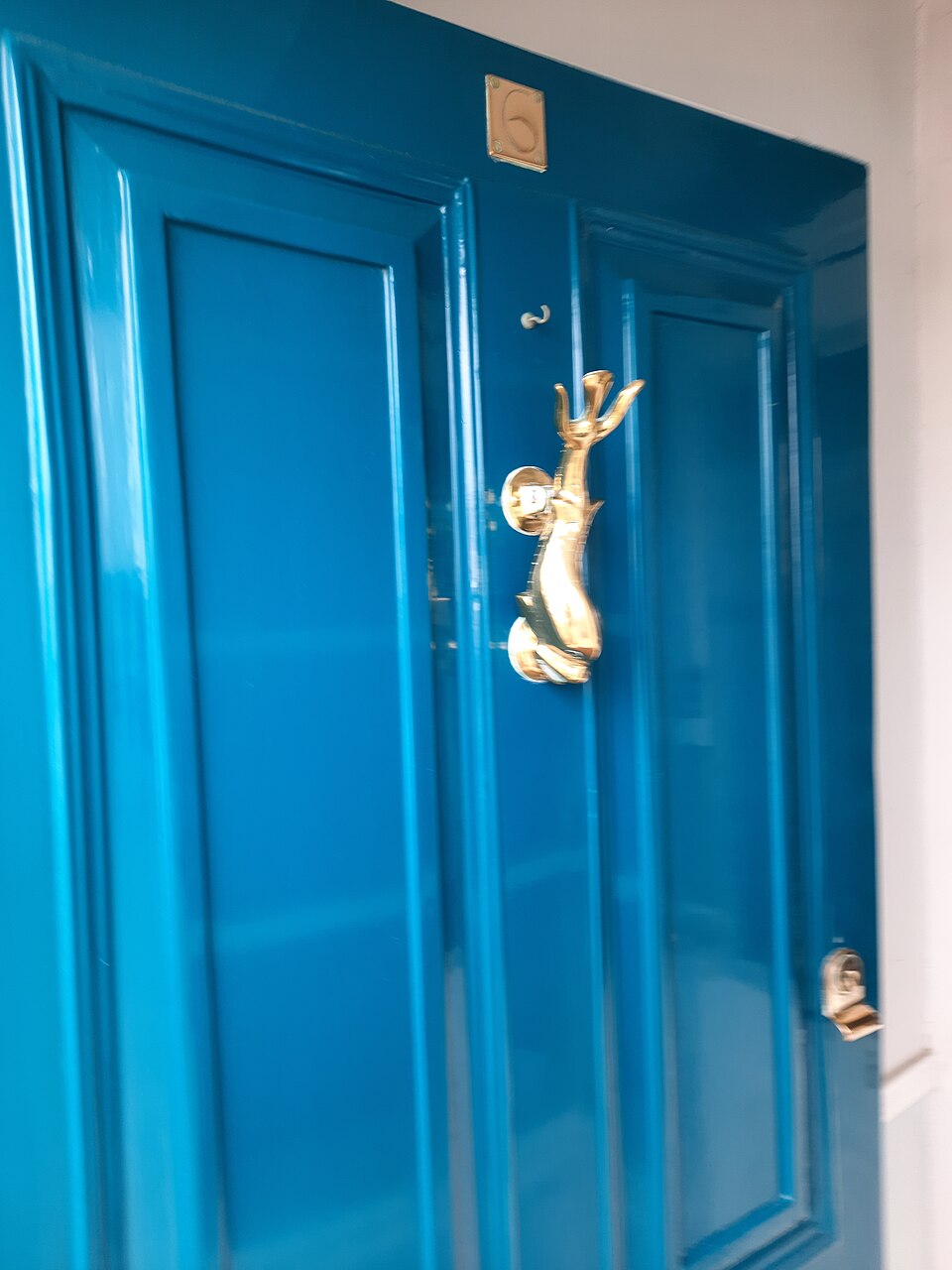 Blue paneled door with a decorative brass knocker.