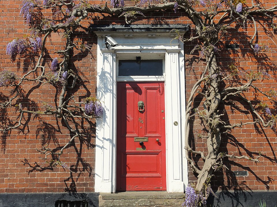 Red entrance door below spreading branches on a brick facade.