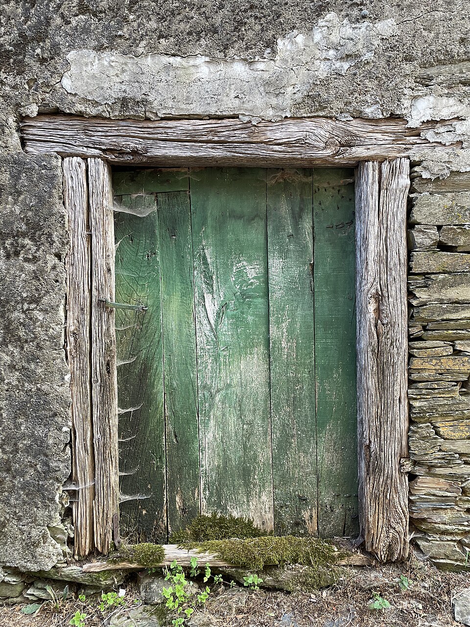Peeling green paint on a weathered timber door.